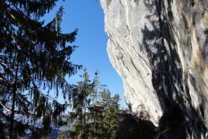 Bild 088