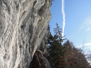 DSC01039