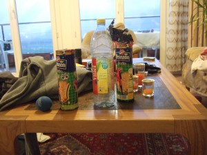 DSCF8515