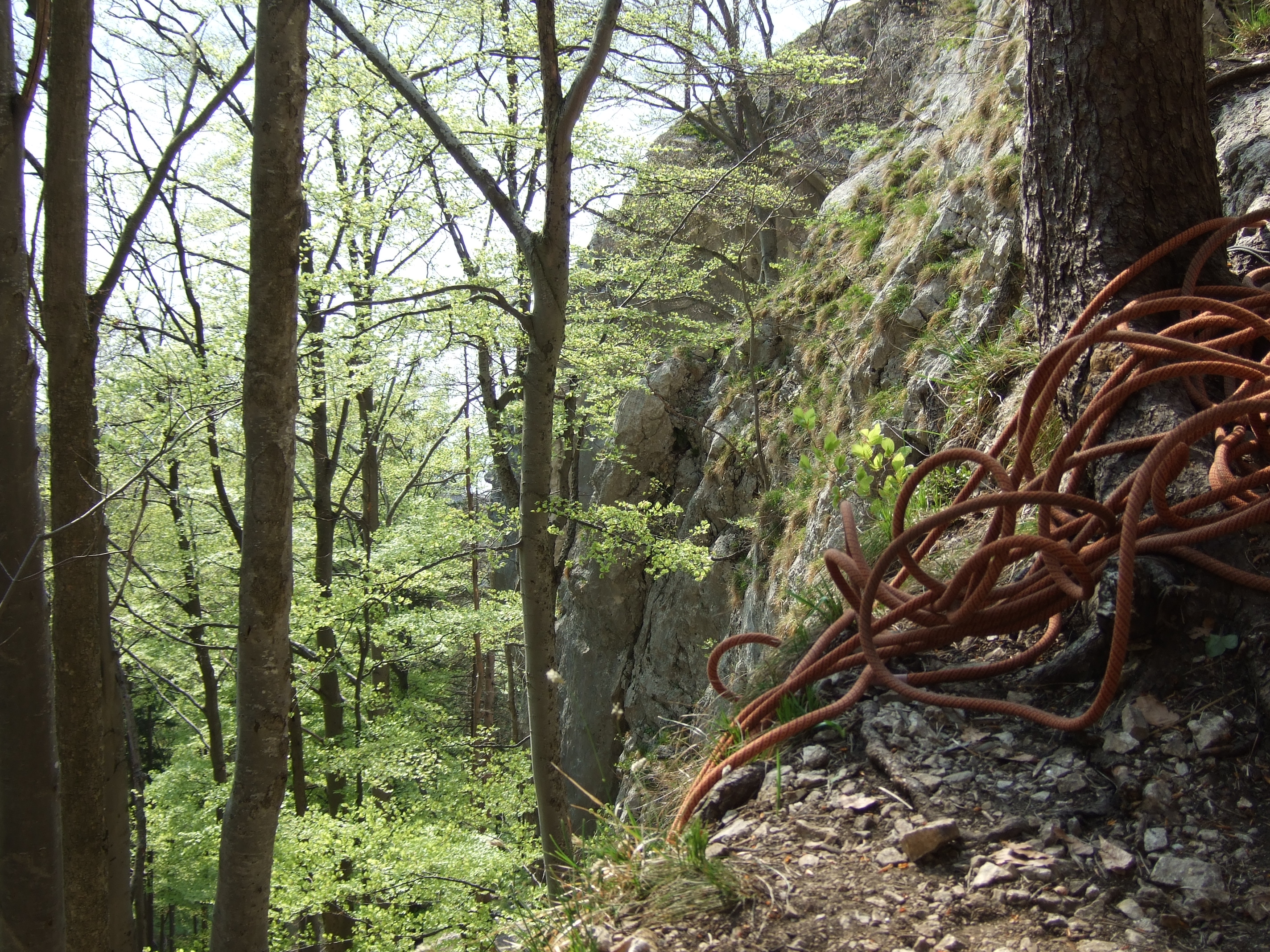 Singletrail ingolstadt